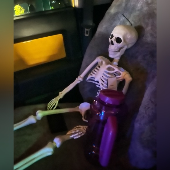 Meet your Posher, Elaina - Picture 2 of 5